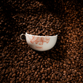 EG Coffee Beans