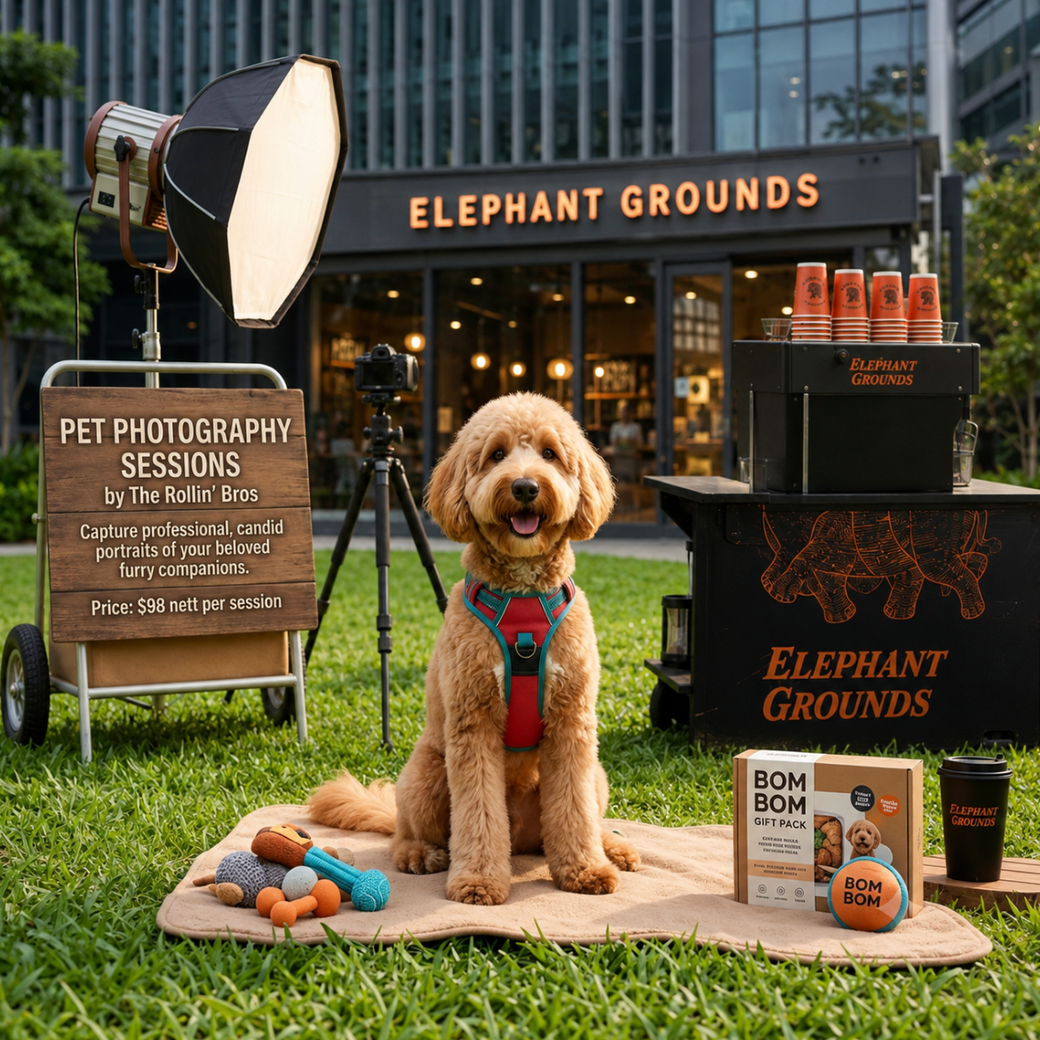 Pet Photography Session by The Rolling Bros